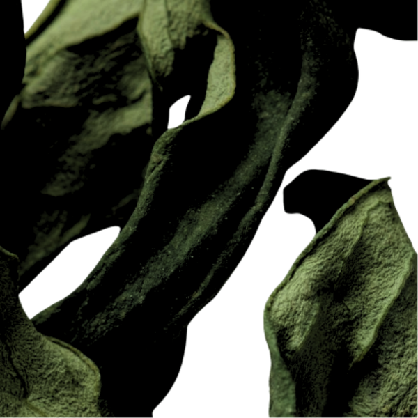 dry skin