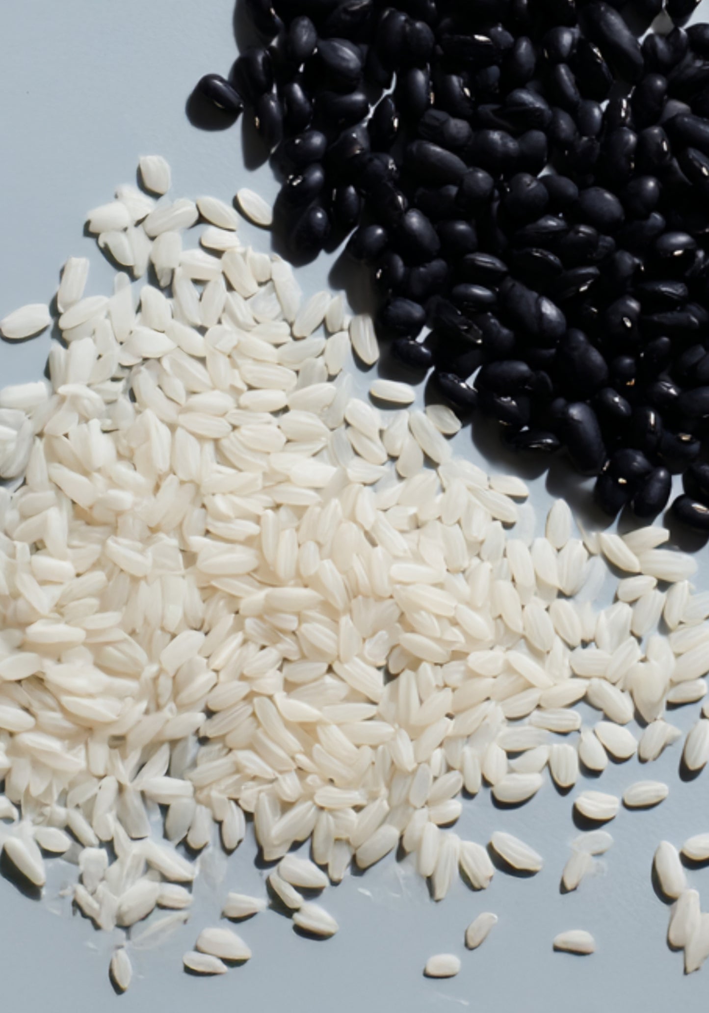 S21 Black Beans Shampoo Bar