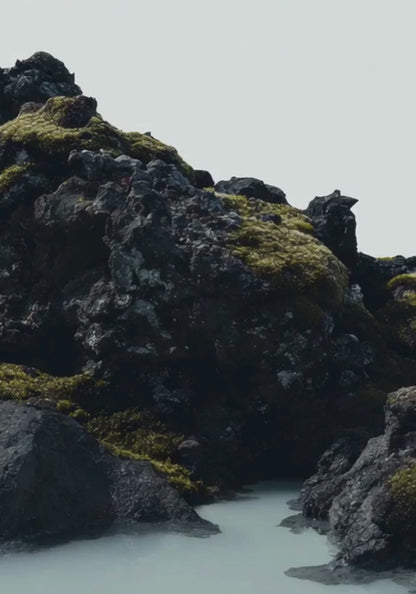 Iceland Moss Drop